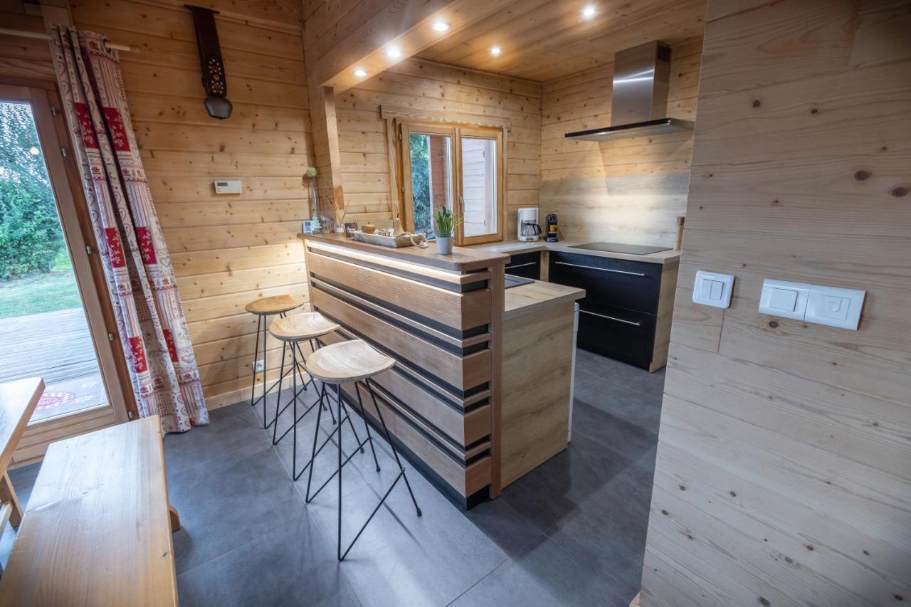 Chalet Skadi ラ・ブレス エクステリア 写真